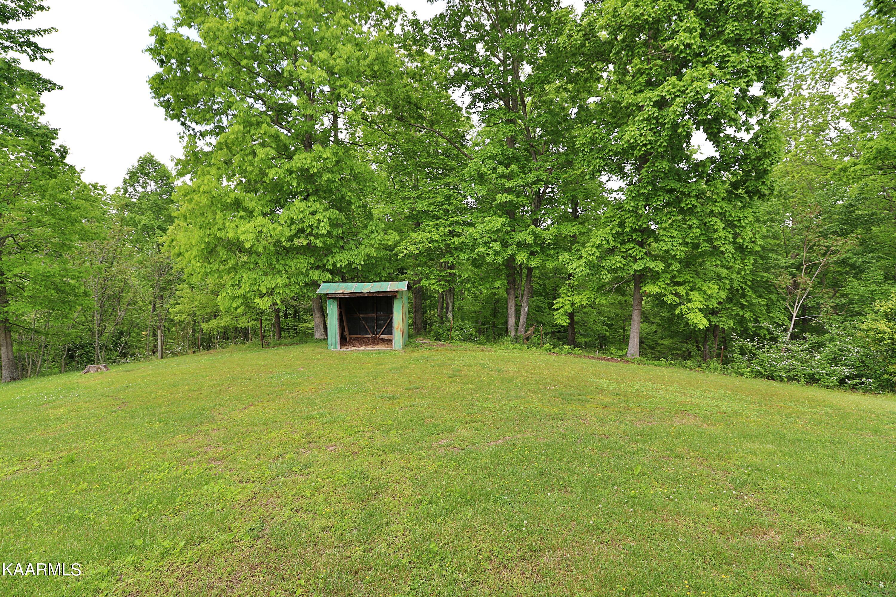 570 McCartt Road Robbins, TN 37852 - Photo 49 of 57 094A9711