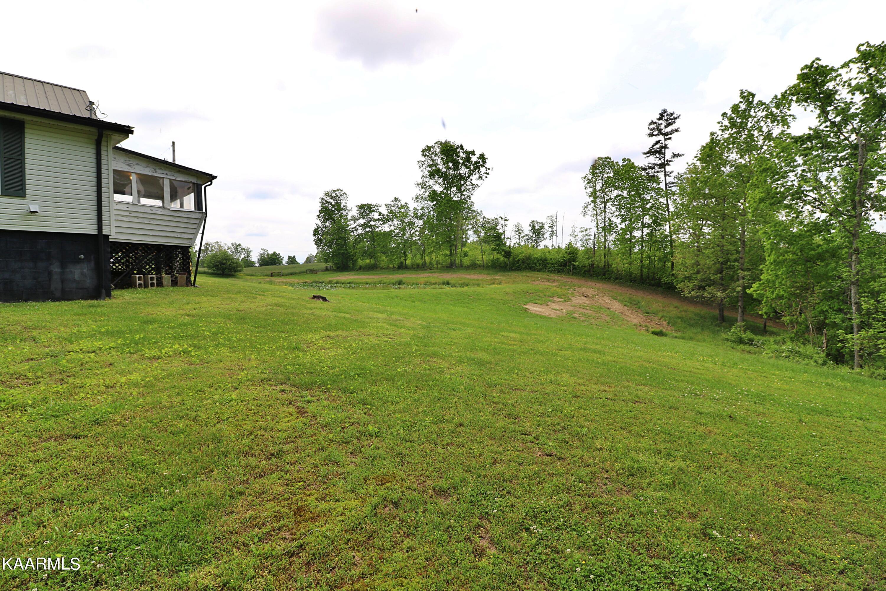 570 McCartt Road Robbins, TN 37852 - Photo 50 of 57 094A9710
