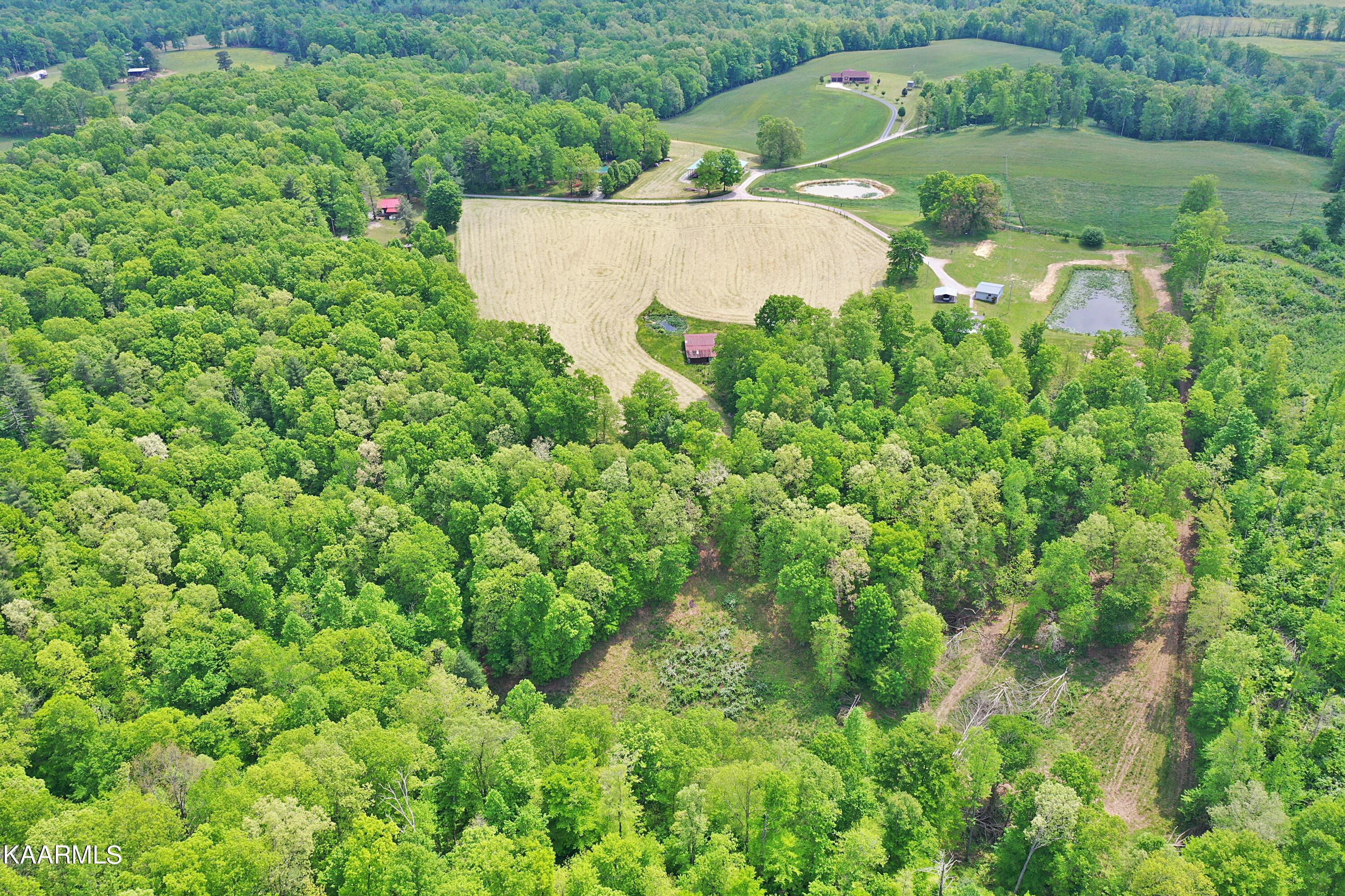 570 McCartt Road Robbins, TN 37852 - Photo 54 of 57 DJI_0153