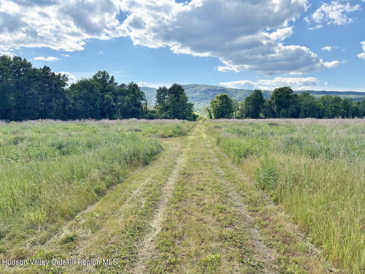 239 Springtown Road New Paltz, NY 12561 - Photo 8 of 42 Farm Road
