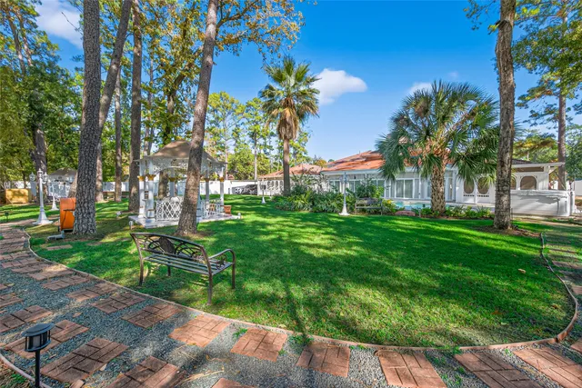 a view of a backyard