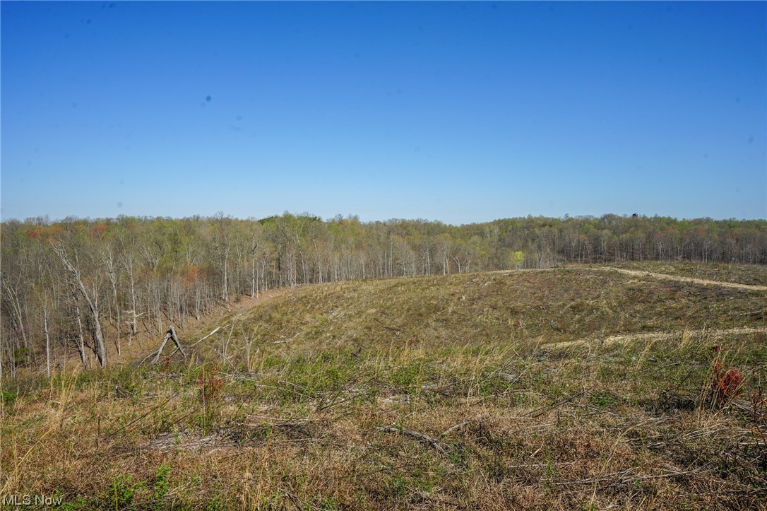Bert Harrold Road Jackson, OH 45640 - Photo 21 of 35
