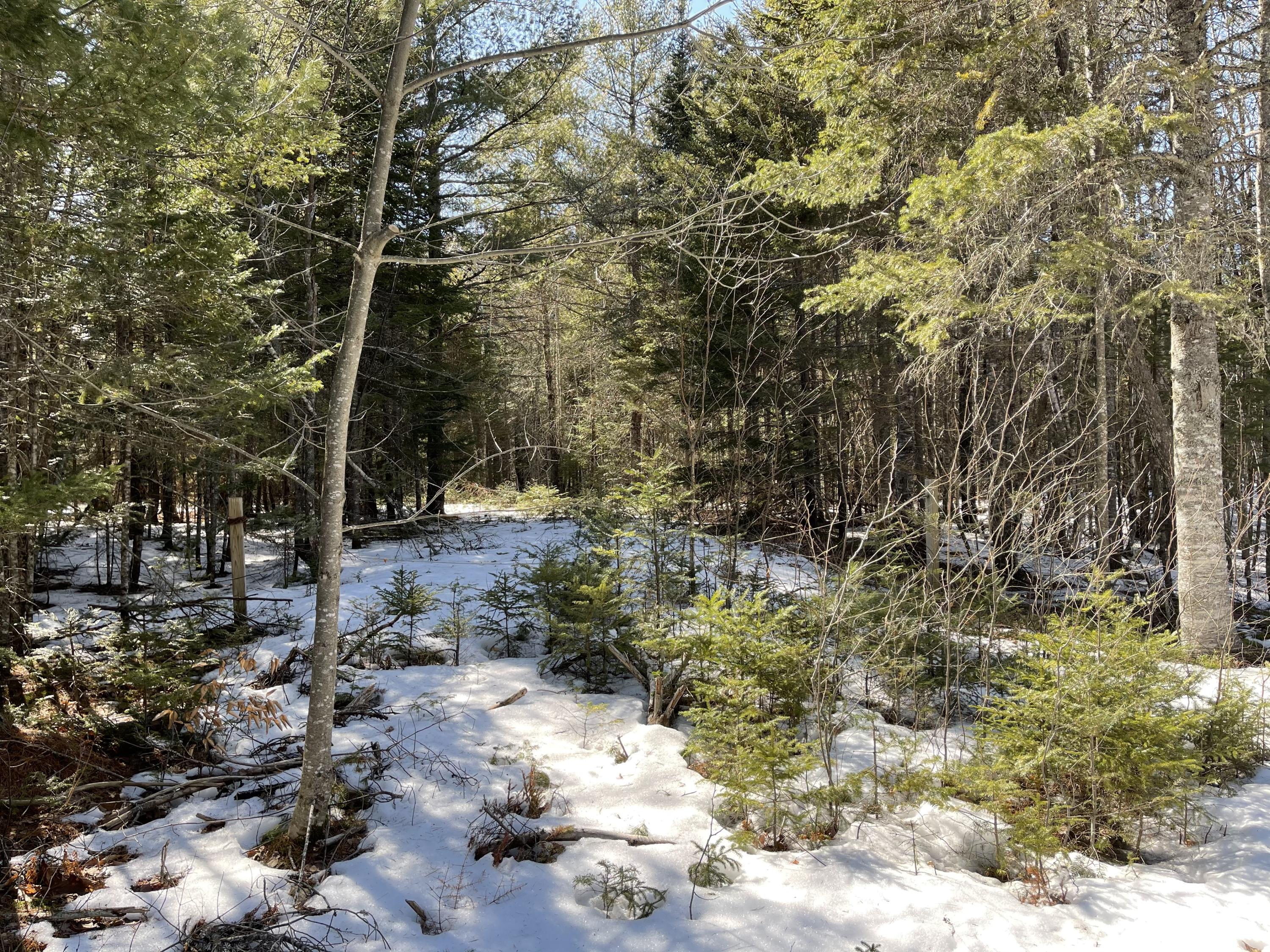 63-64 Kettle Ridge Northfield, ME 04654 - Photo 18 of 19 IMG-0789