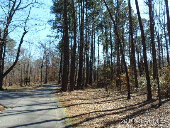 0 Mill Run Road Greenville, NC 27834 - Photo 11 of 16 Additional Photo