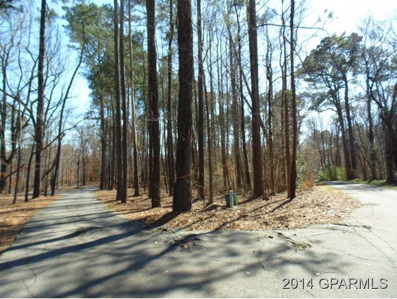 0 Mill Run Road Greenville, NC 27834 - Photo 13 of 16 Additional Photo