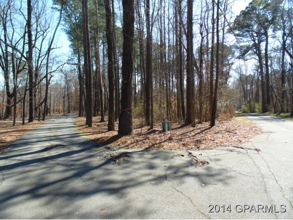 0 Mill Run Road Greenville, NC 27834 - Photo 14 of 16 Additional Photo