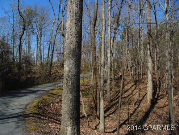 0 Mill Run Road Greenville, NC 27834 - Photo 10 of 16 Additional Photo