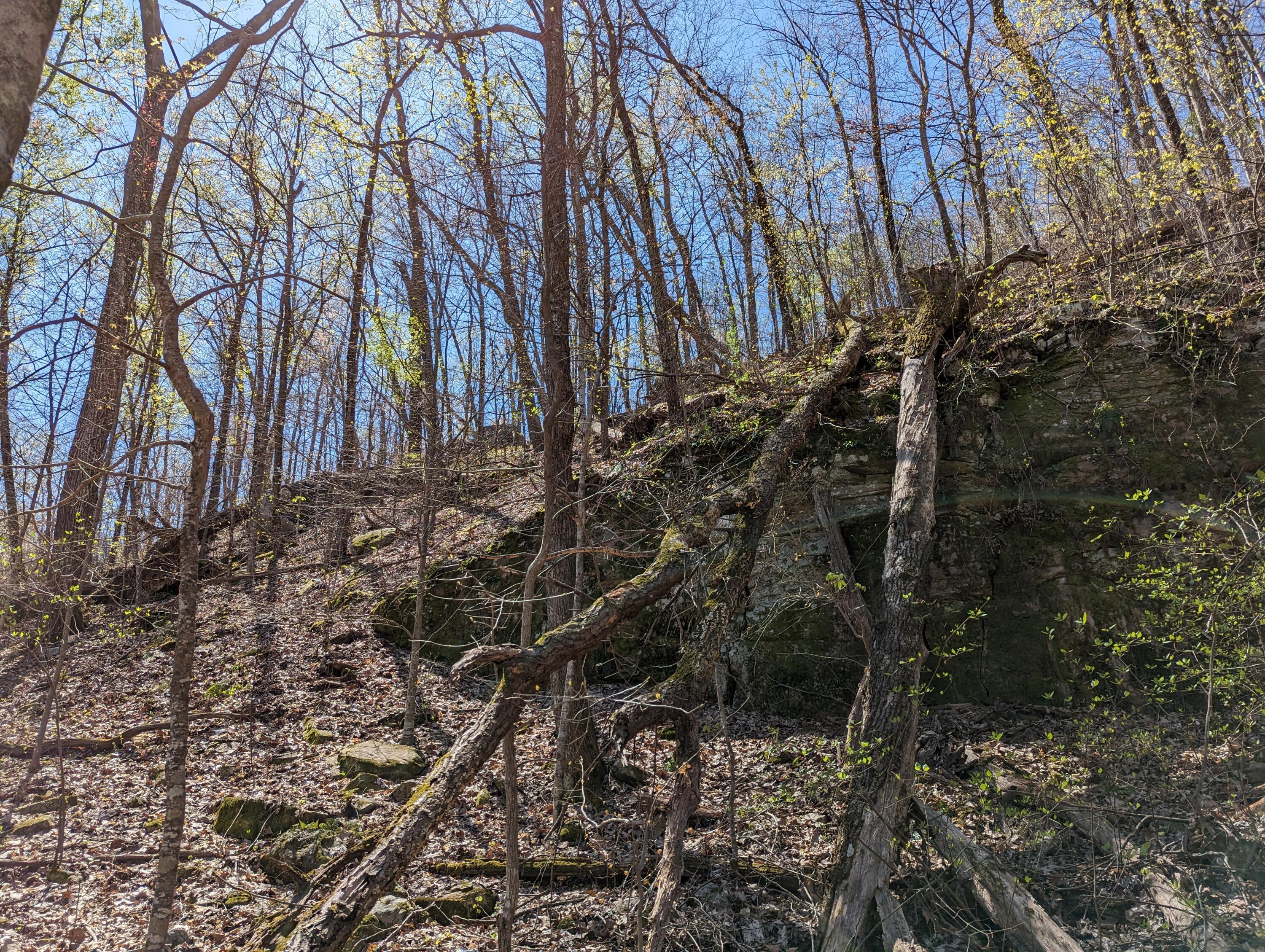 10688 Pine Hill Road McDonald, TN 37353 - Photo 11 of 49 Perfect backdrop for building