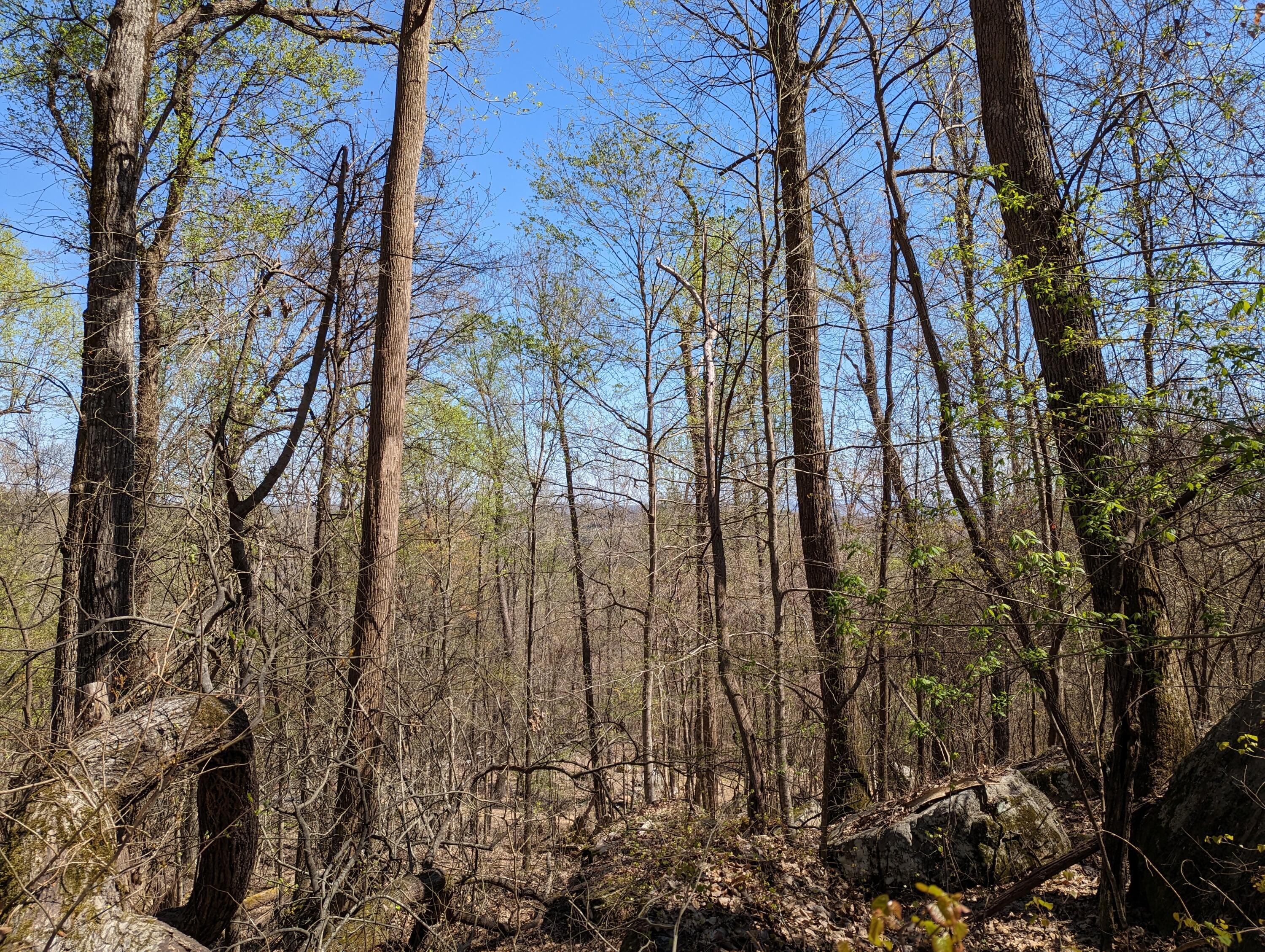 10688 Pine Hill Road McDonald, TN 37353 - Photo 13 of 49 Another build site near the peak