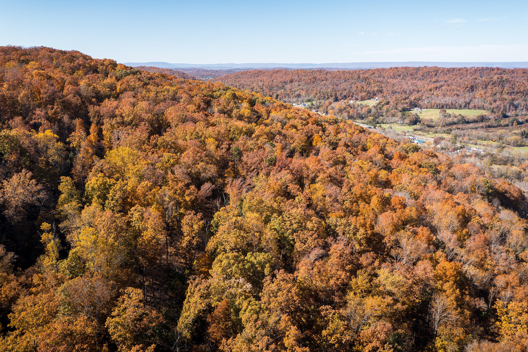 10688 Pine Hill Road McDonald, TN 37353 - Photo 17 of 49 Enjoy every season