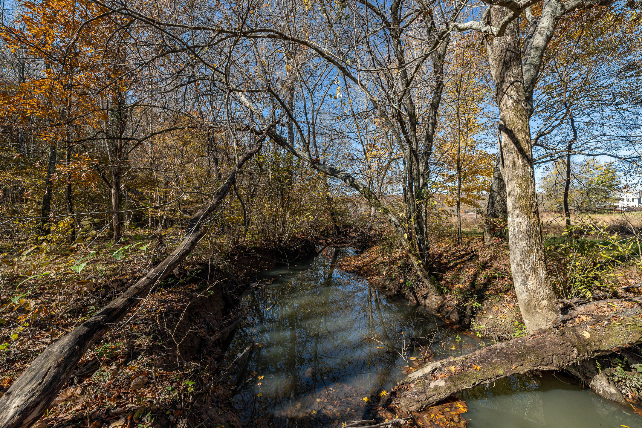 10688 Pine Hill Road McDonald, TN 37353 - Photo 21 of 49 Gorgeous creek
