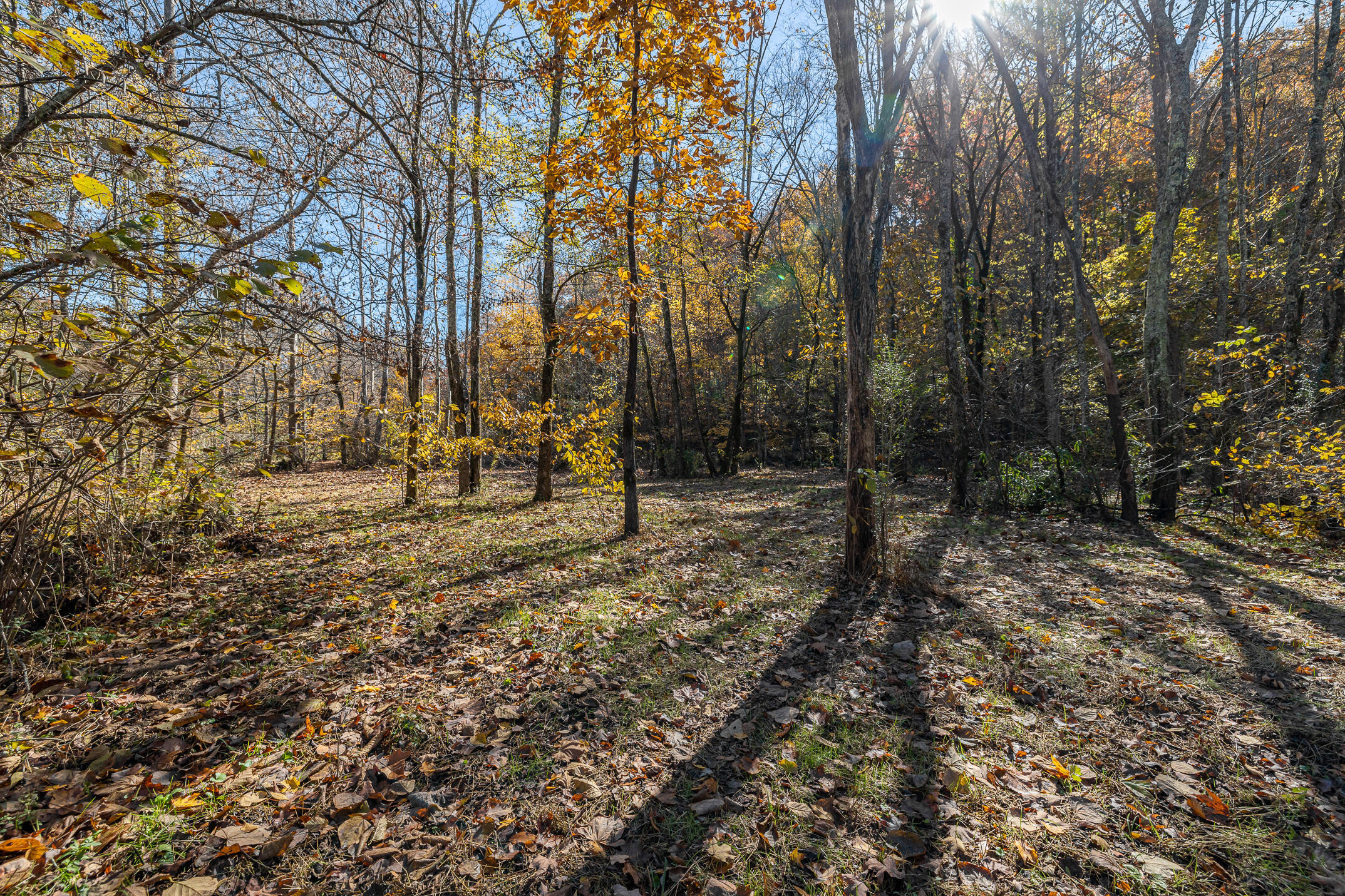 10688 Pine Hill Road McDonald, TN 37353 - Photo 22 of 49 Peaceful