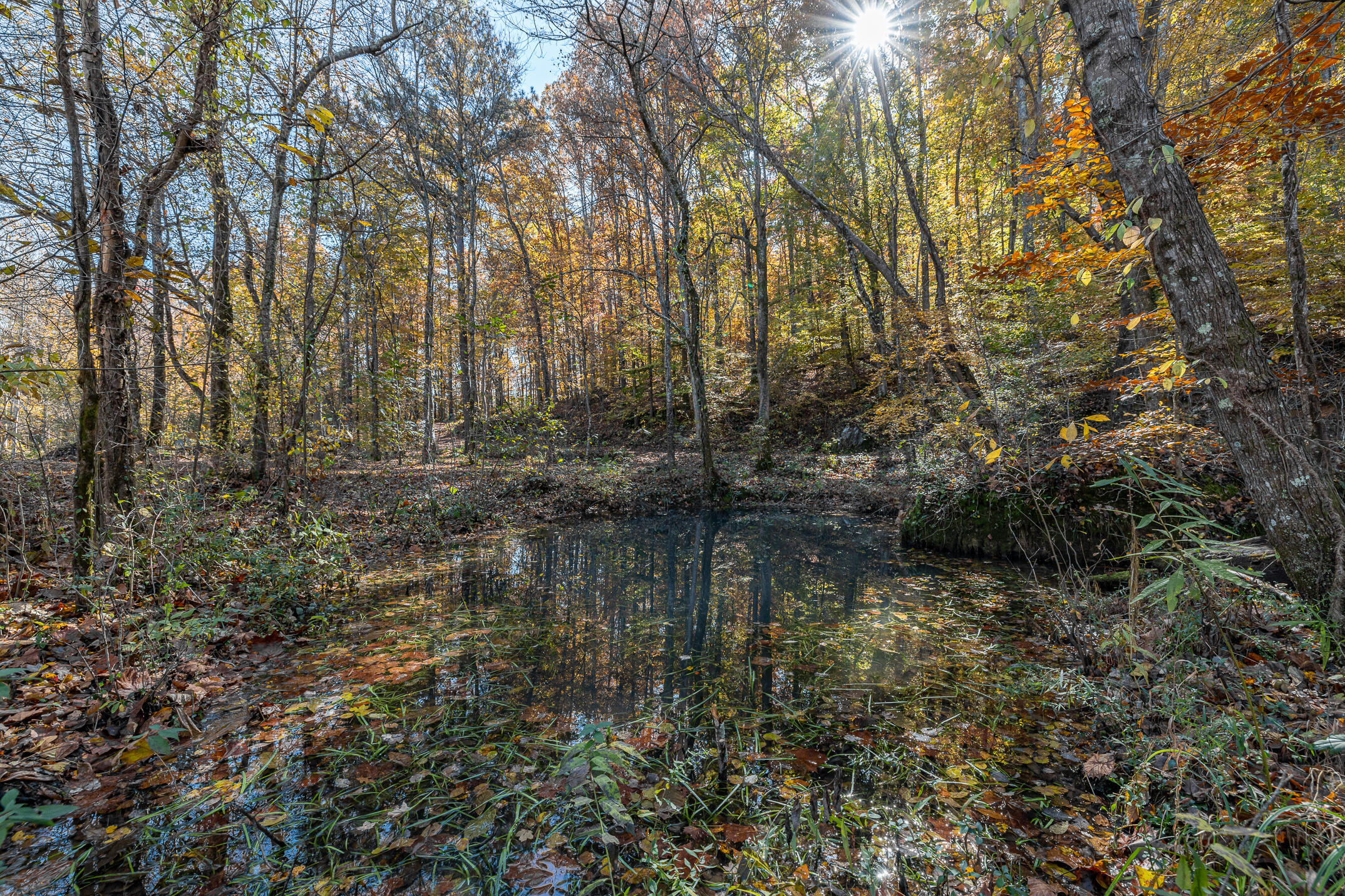 10688 Pine Hill Road McDonald, TN 37353 - Photo 23 of 49 Serene