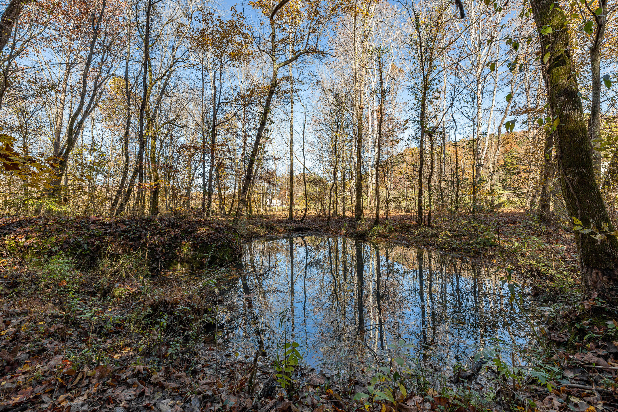 10688 Pine Hill Road McDonald, TN 37353 - Photo 24 of 49 Swim holes for lazy summer days
