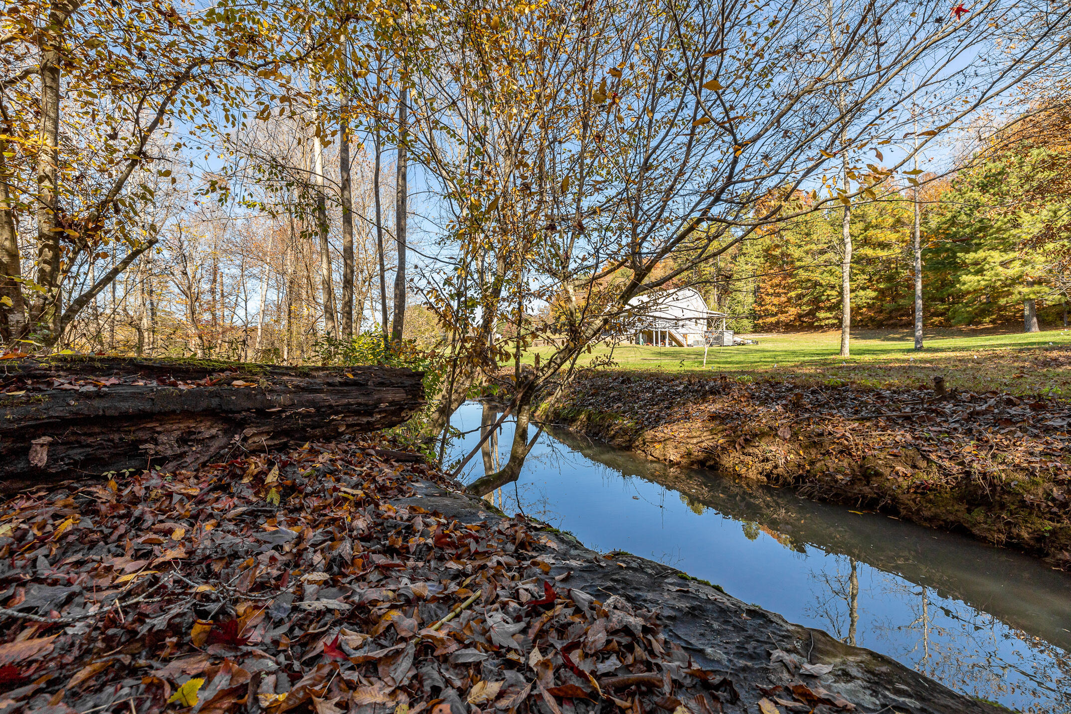 10688 Pine Hill Road McDonald, TN 37353 - Photo 25 of 49 Another place to play