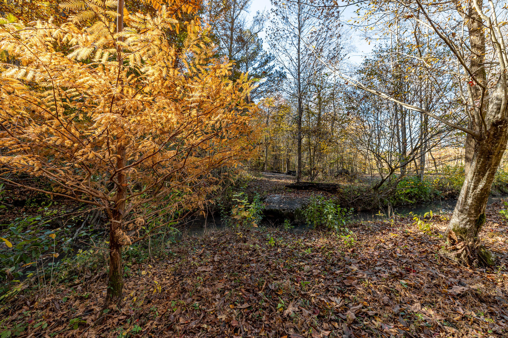 10688 Pine Hill Road McDonald, TN 37353 - Photo 29 of 49 Imagine yourself here