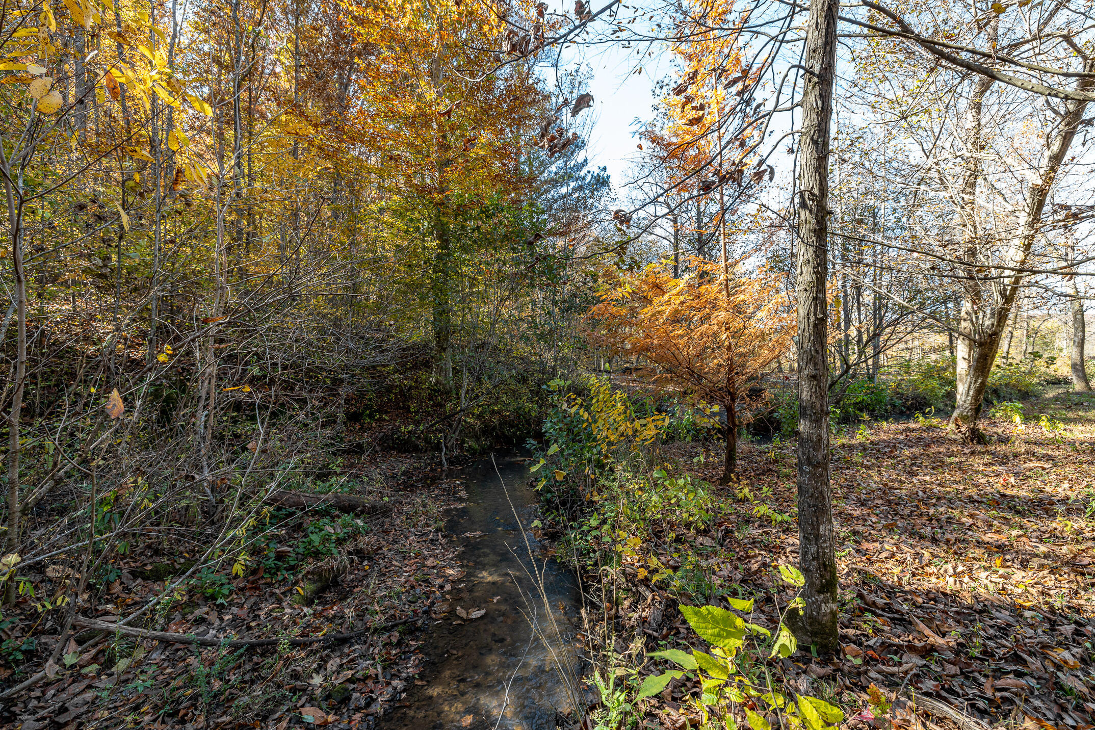 10688 Pine Hill Road McDonald, TN 37353 - Photo 30 of 49 Great outdoors