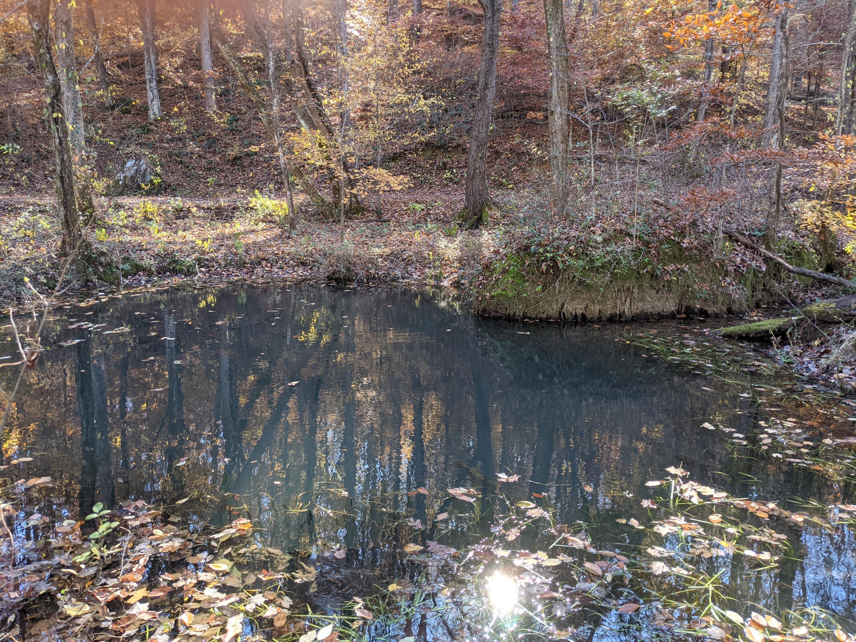 10688 Pine Hill Road McDonald, TN 37353 - Photo 3 of 49 Pond at the entrance