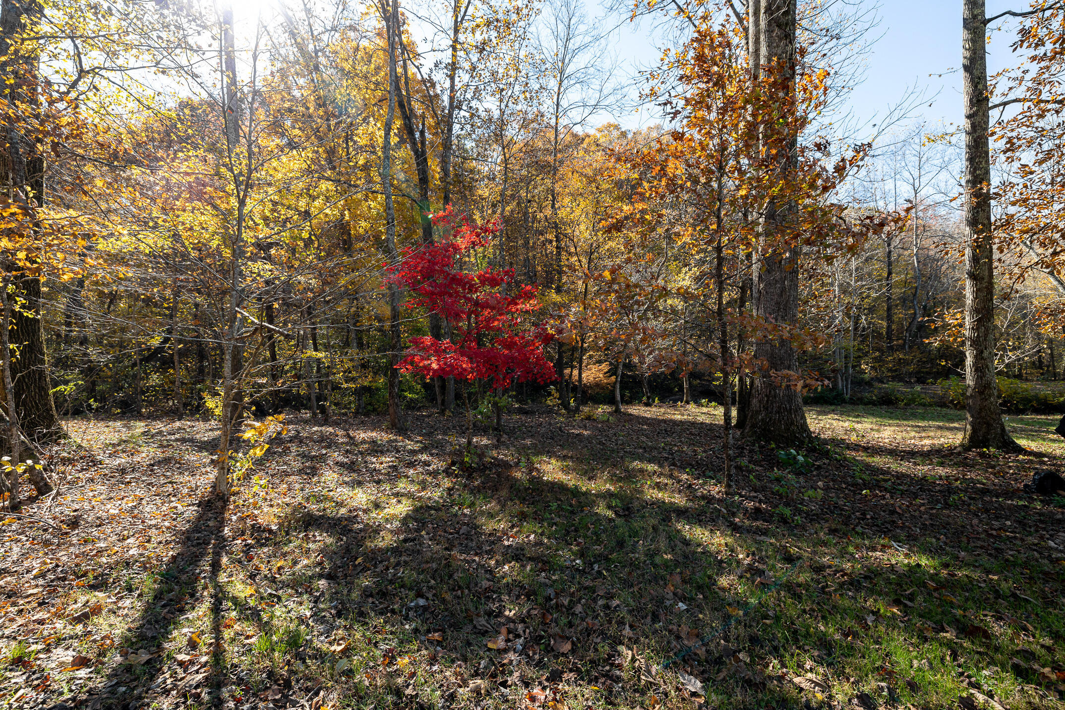 10688 Pine Hill Road McDonald, TN 37353 - Photo 32 of 49 So much to see!