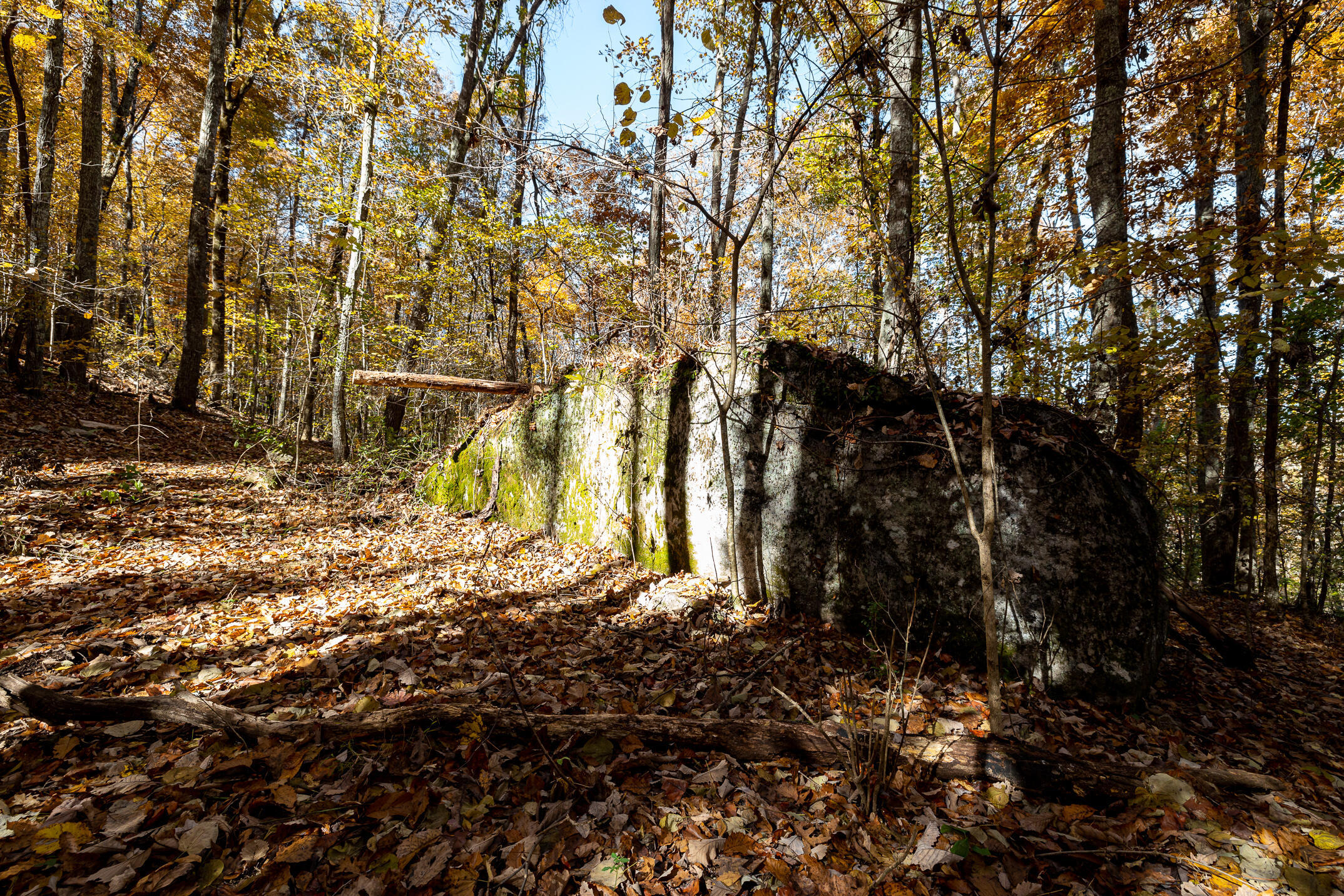 10688 Pine Hill Road McDonald, TN 37353 - Photo 33 of 49 Nature lovers paradise