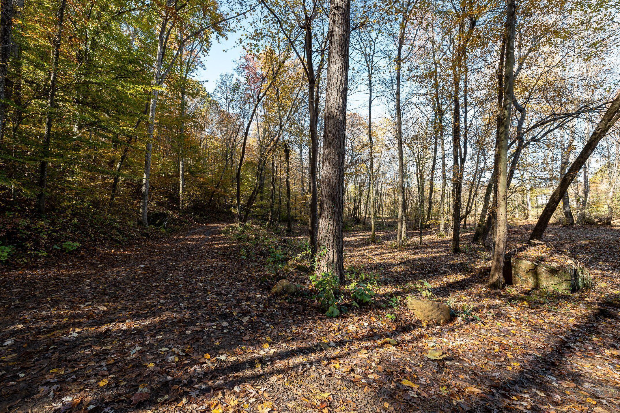 10688 Pine Hill Road McDonald, TN 37353 - Photo 35 of 49 Perfect for hiking