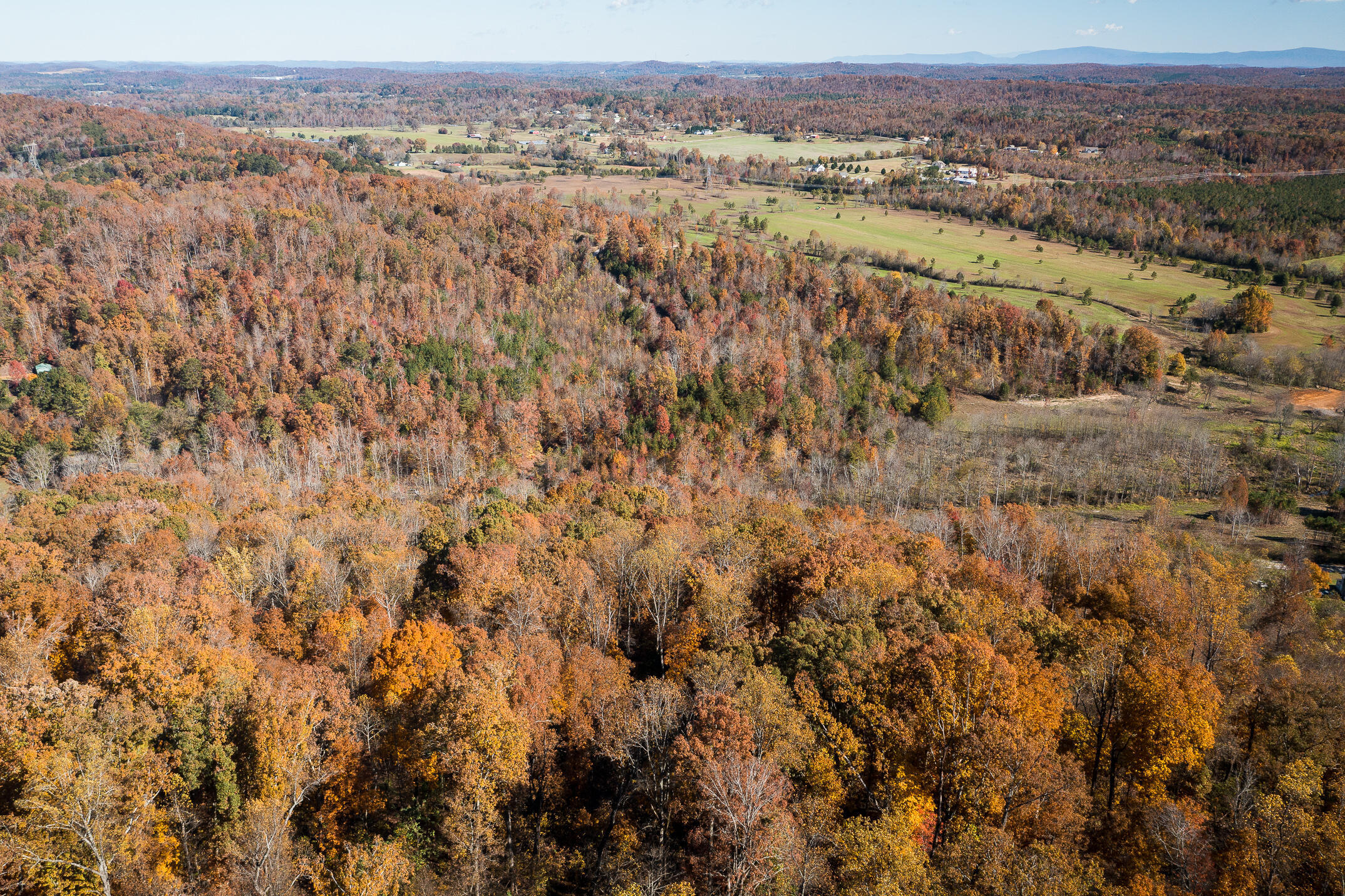 10688 Pine Hill Road McDonald, TN 37353 - Photo 38 of 49 Breathtaking