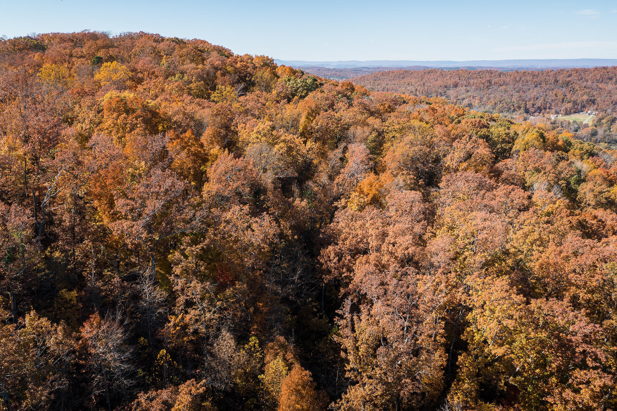 10688 Pine Hill Road McDonald, TN 37353 - Photo 46 of 49 Pretty seasons