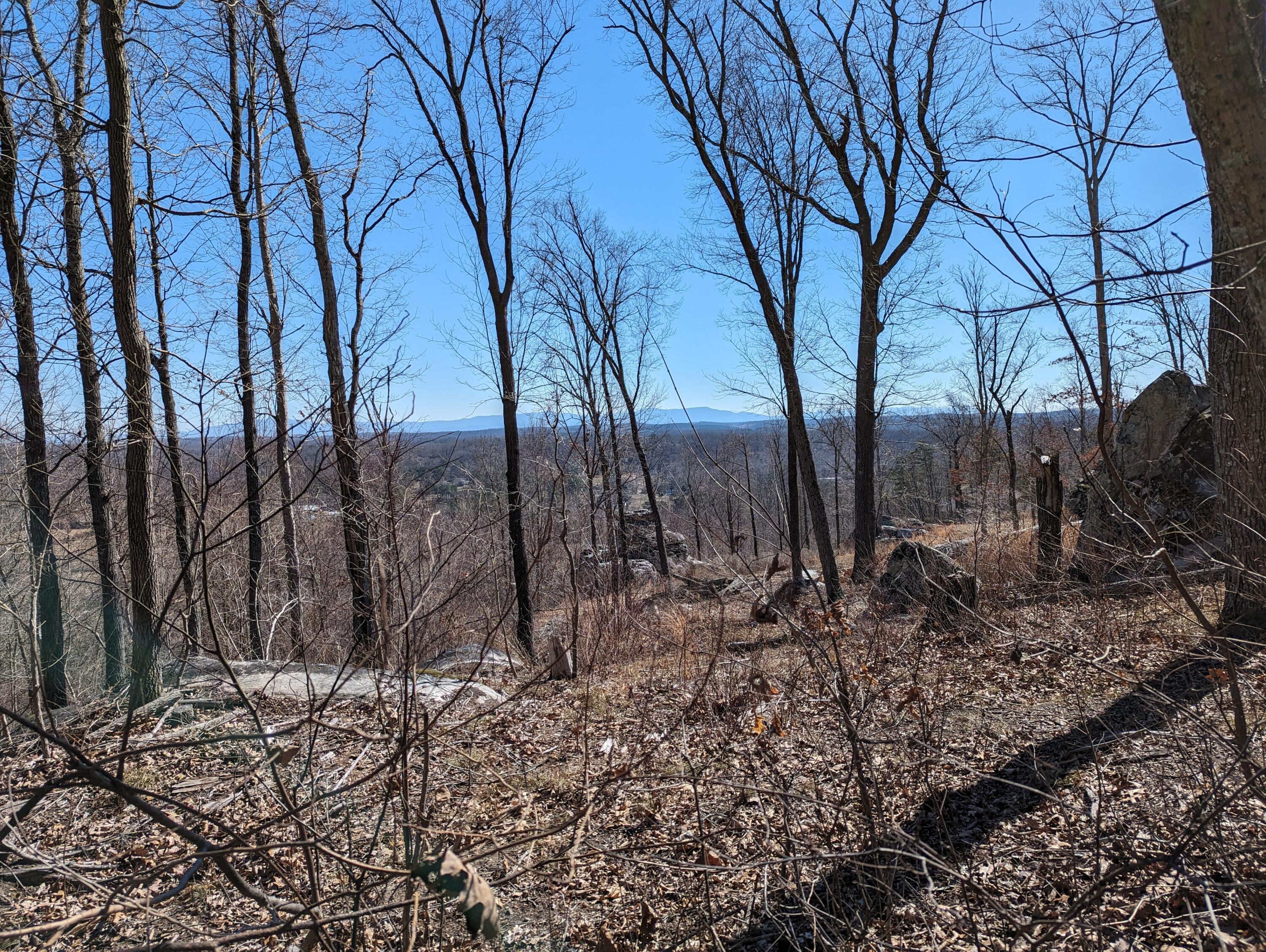 10688 Pine Hill Road McDonald, TN 37353 - Photo 5 of 49 Breathtaking scenery