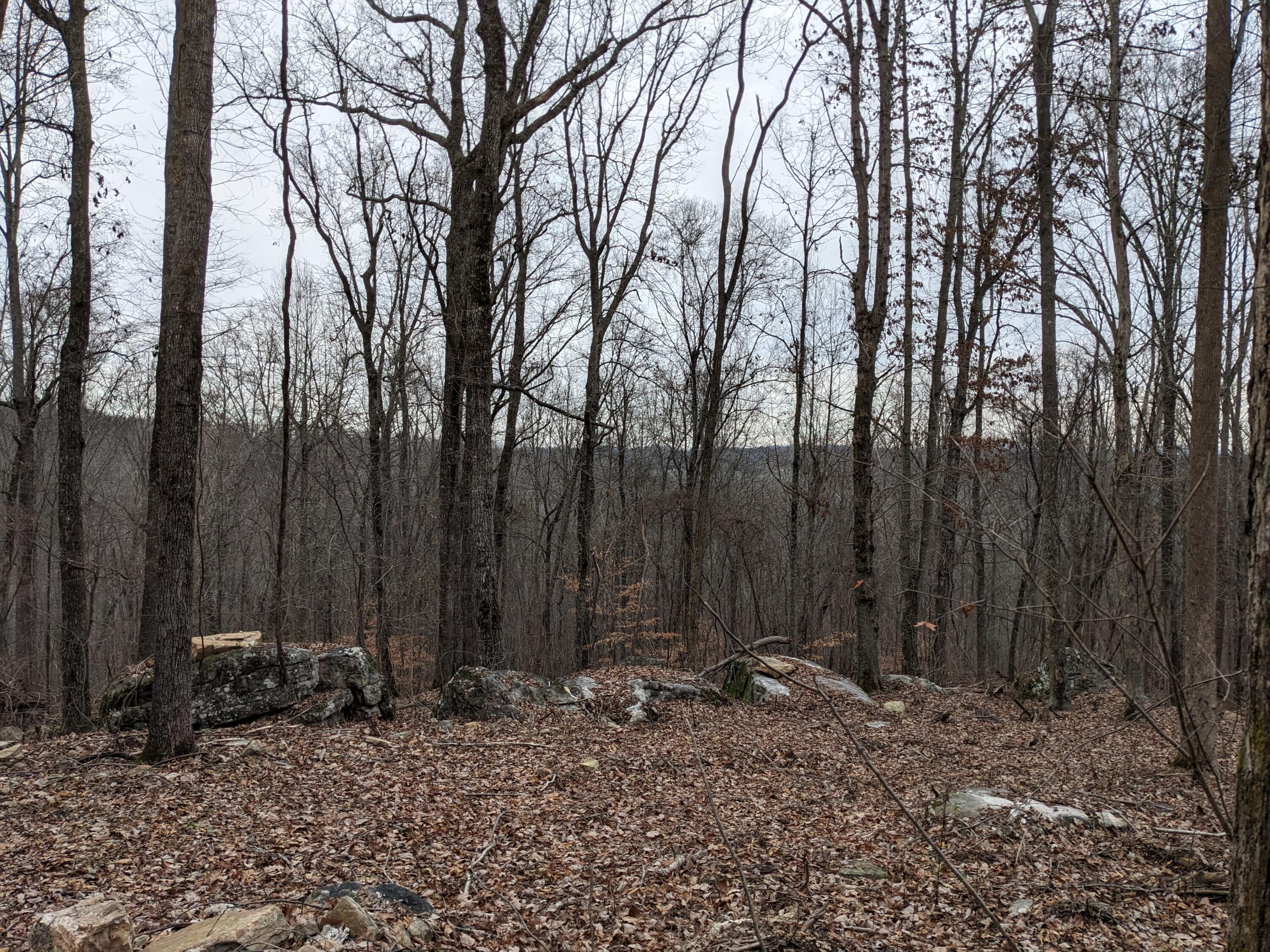 10688 Pine Hill Road McDonald, TN 37353 - Photo 6 of 49 Nice plateau with view of the mountains