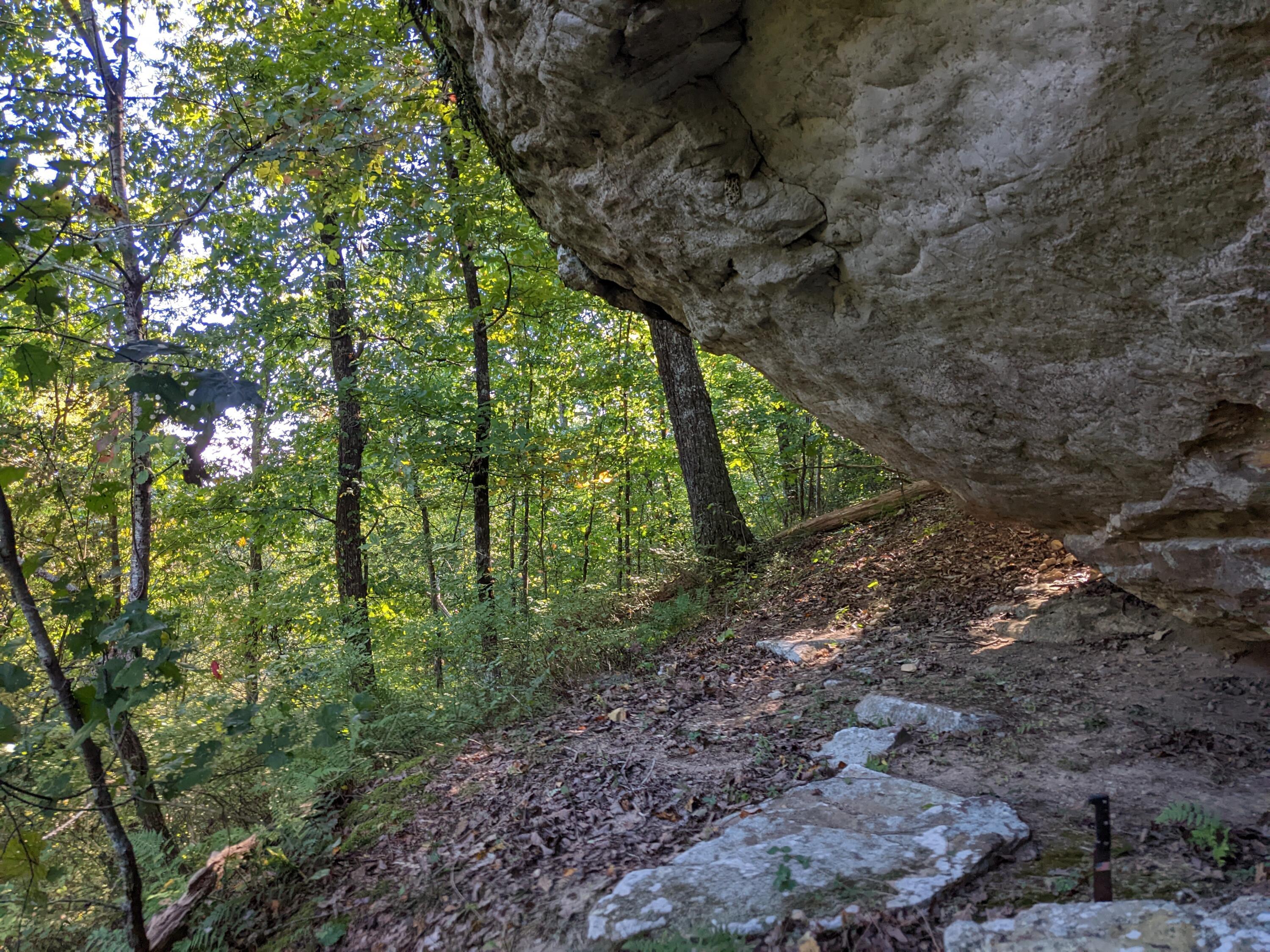 10688 Pine Hill Road McDonald, TN 37353 - Photo 7 of 49 One of the boulders found on the land