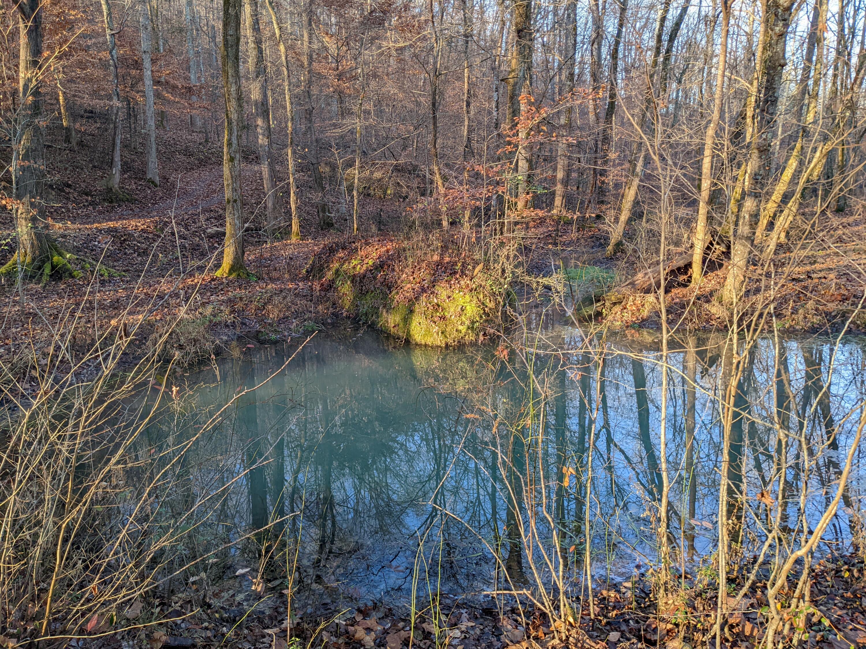 10688 Pine Hill Road McDonald, TN 37353 - Photo 8 of 49 Pond on lot 2