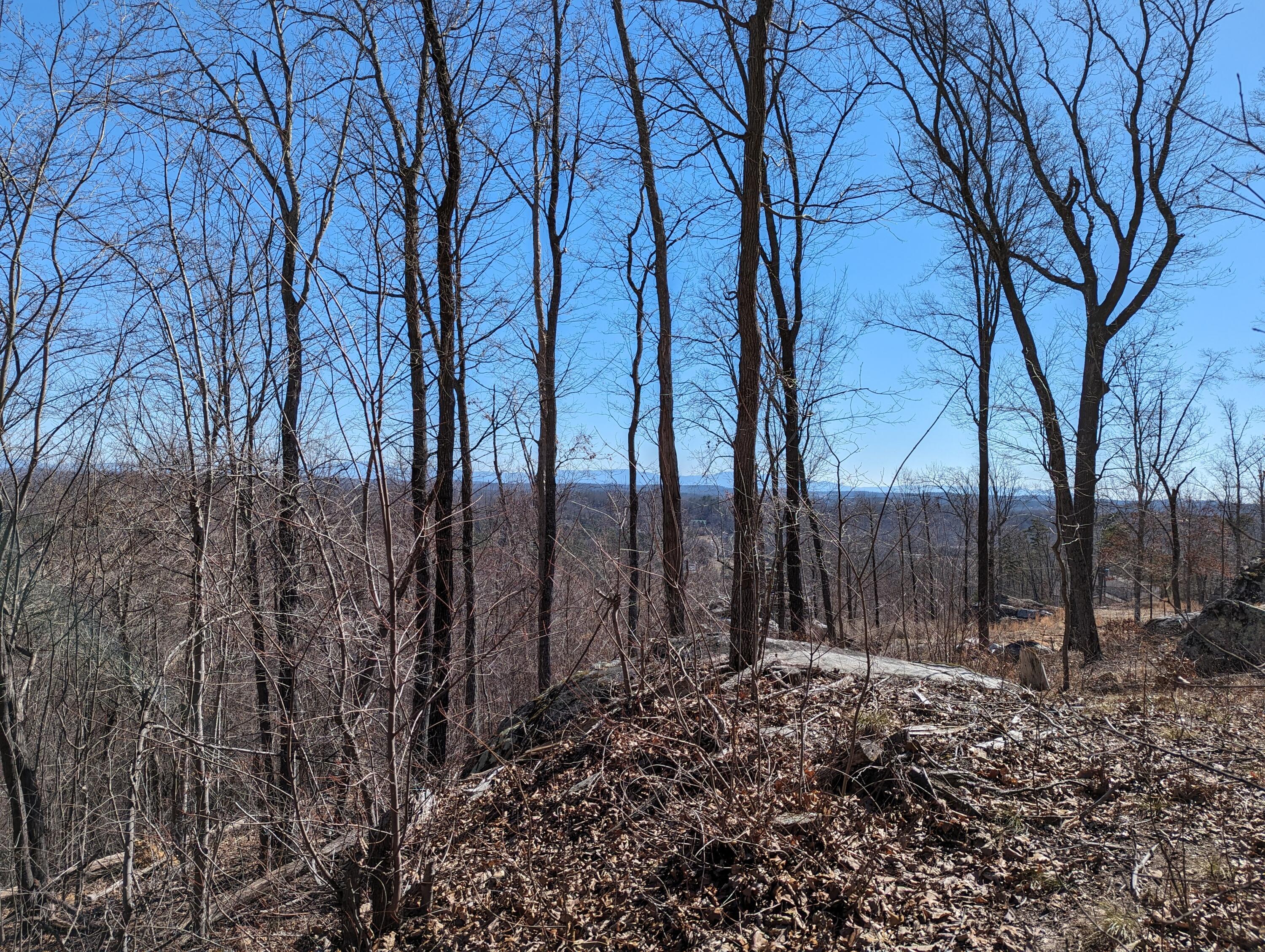 10688 Pine Hill Road McDonald, TN 37353 - Photo 10 of 49 Another gorgeous mountain view