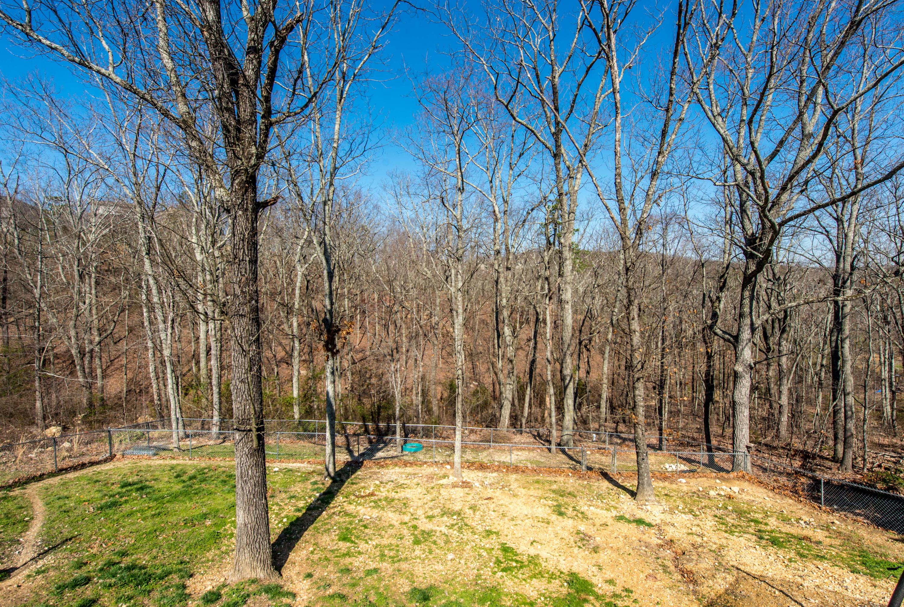 7351 British Road Ooltewah, TN 37363 - Photo 28 of 31 _MG14942