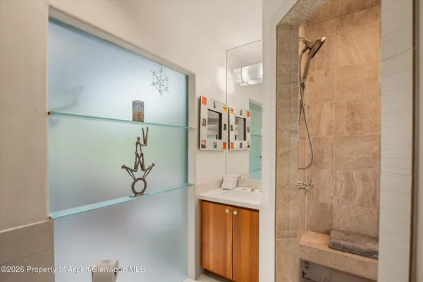 a bathroom with a shower and a sink