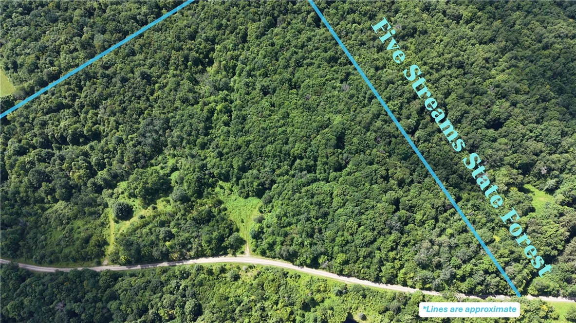 409 Cty Road Cincinnatus, NY 13040 - Photo 3 of 29