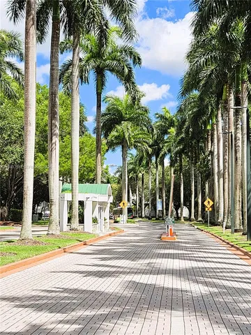 a park view with large trees