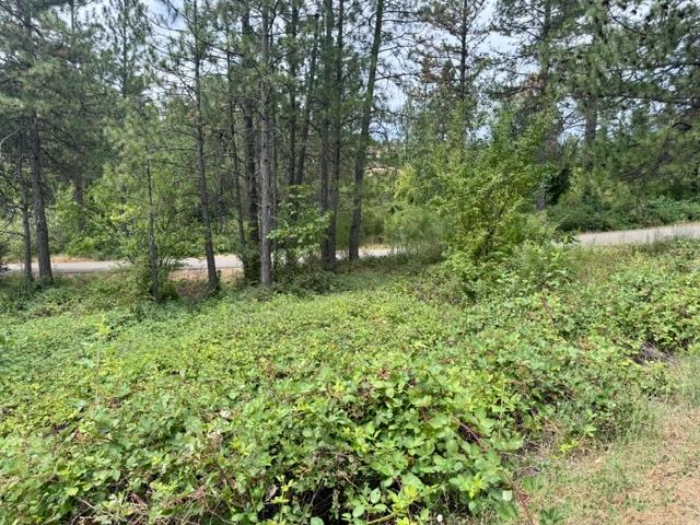 0 Grand View Way Colfax, CA 95713 - Photo 2 of 6