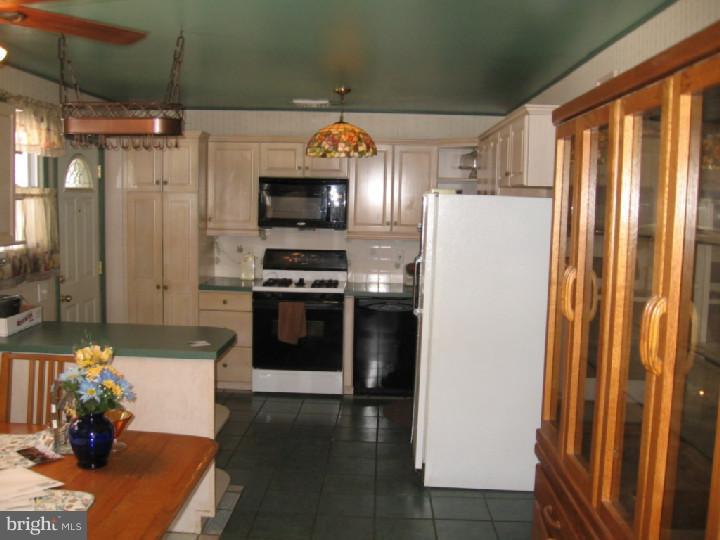 23 Forrest Avenue Ridley Park, PA 19078 - Photo 5 of 15 Kitchen