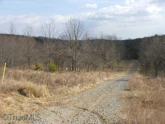 4 Simpson Mill Rd Mount Mount Airy, NC 27030 - Photo 3 of 8 Other. PILOT MOUNTAIN VIEWS