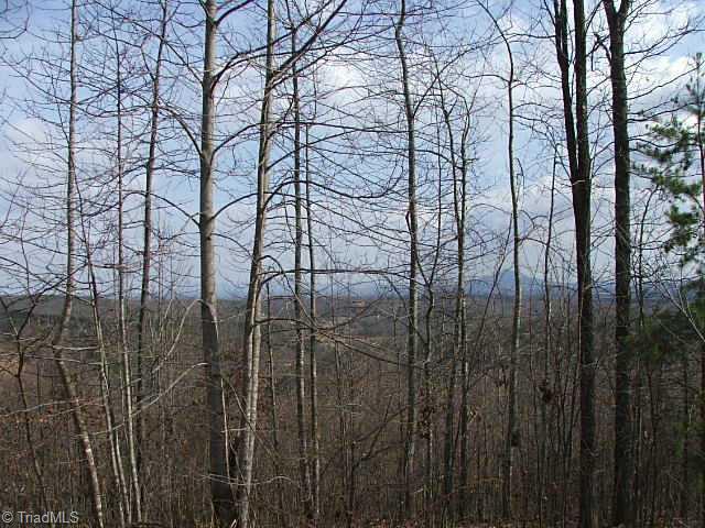 4 Simpson Mill Rd Mount Mount Airy, NC 27030 - Photo 4 of 8 Other. LOWER VIEWS