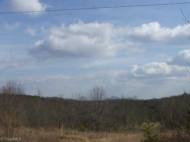 4 Simpson Mill Rd Mount Mount Airy, NC 27030 - Photo 6 of 8 Other. PILOT MOUNTAIN