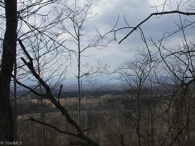 4 Simpson Mill Rd Mount Mount Airy, NC 27030 - Photo 7 of 8 Other. NORTHERN BLUE RIDGE VIEWS