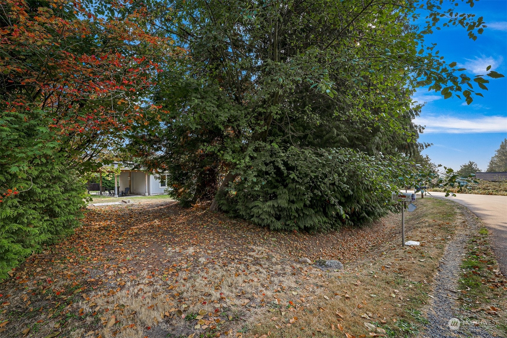4524 Decatur Drive Ferndale, WA 98248 - Photo 3 of 30 a view of a yard with plants and large trees