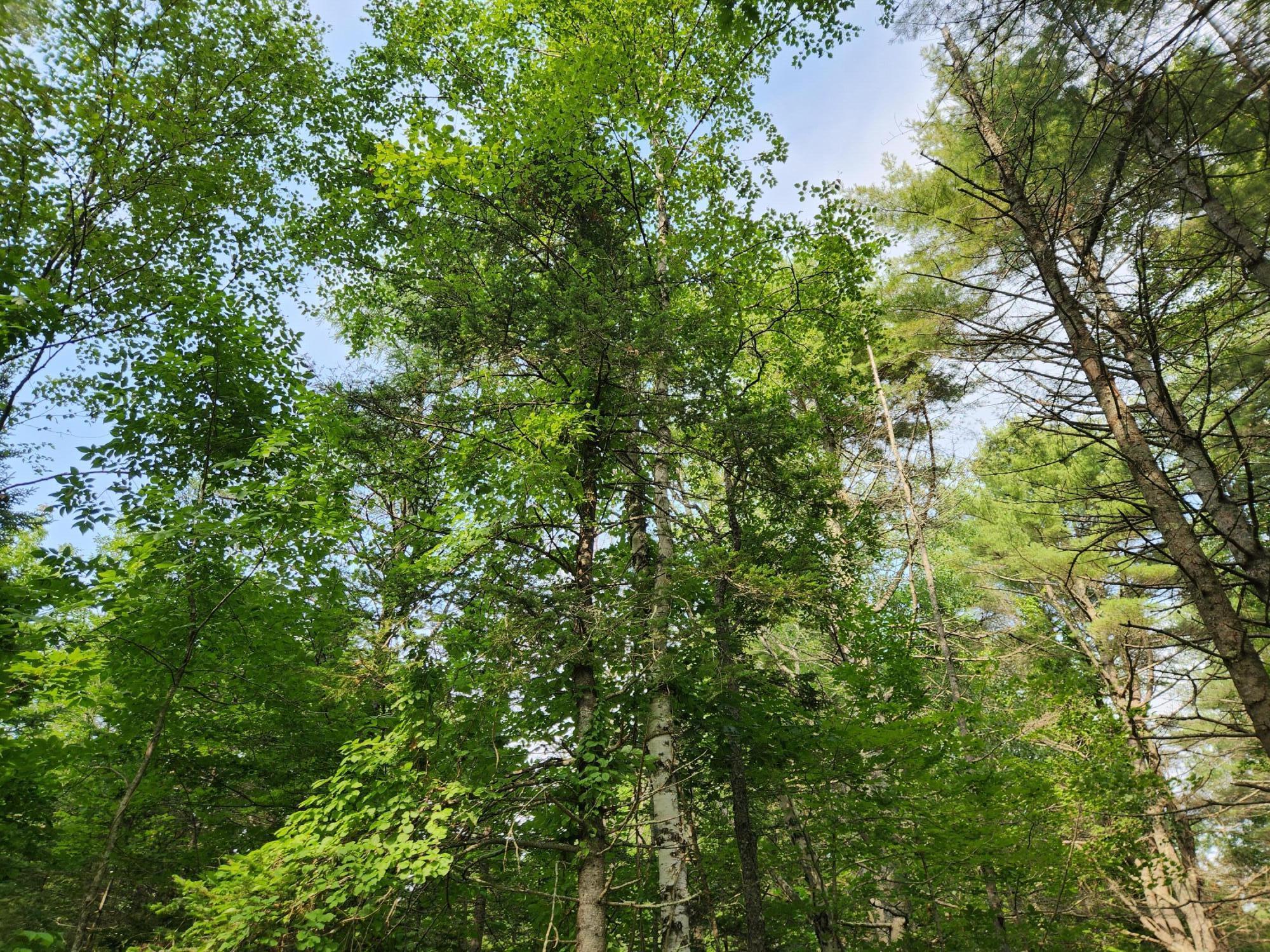 2851 Friendship Road Waldoboro, ME 04572 - Photo 3 of 16 20240730_155743