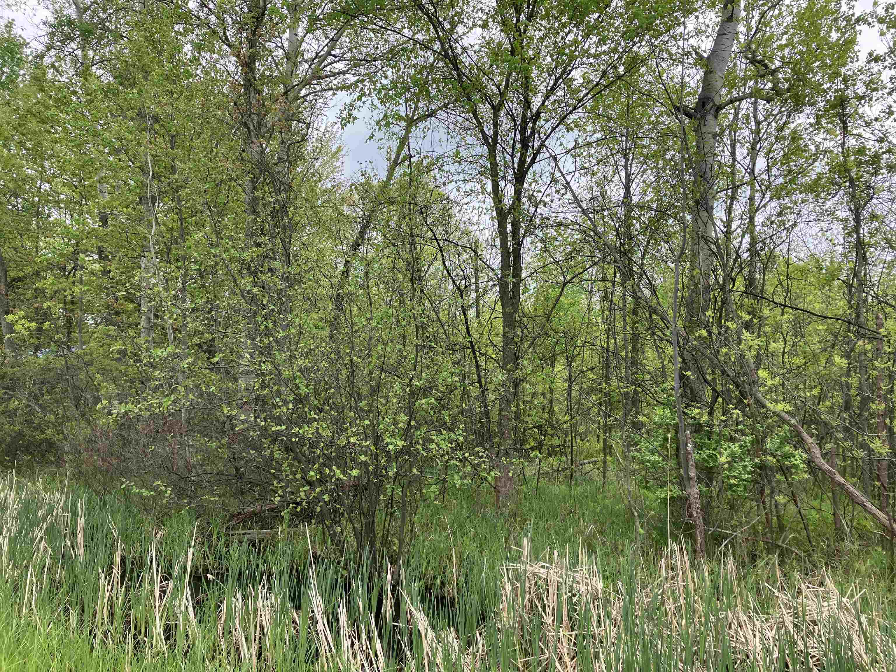 3.96-acres West Isabella Road Midland, MI 48640 - Photo 6 of 9