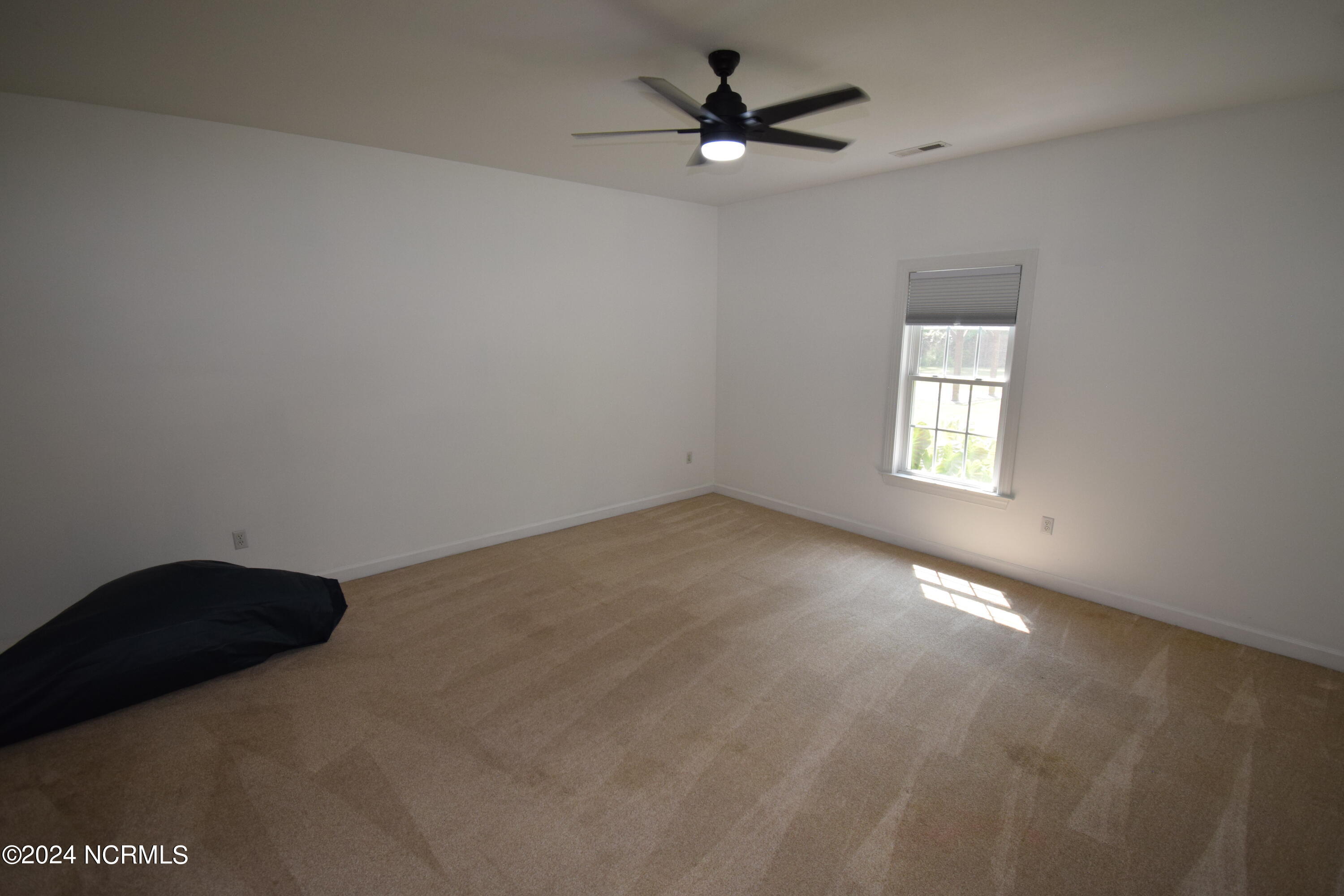 1375 Blue Creek Road Jacksonville, NC 28540 - Photo 20 of 49 DSC_0294