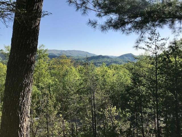 5015 Long Rifle Road Walland, TN 37886 - Photo 3 of 23 Gallery Image 3