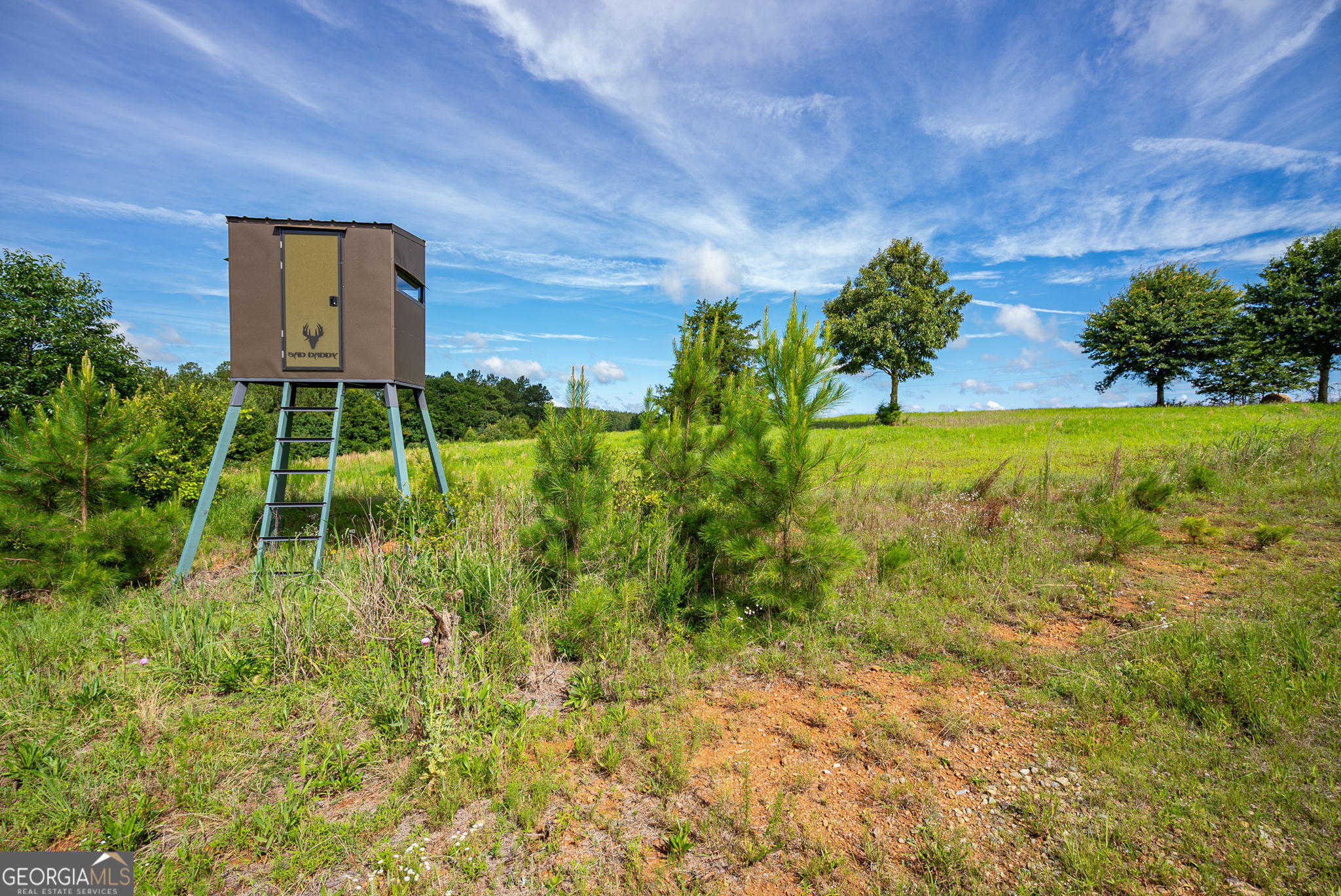 2286 Duffell Martin Road Comer, GA 30629 - Photo 18 of 81