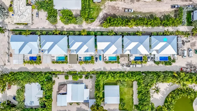 an outdoor space with plants