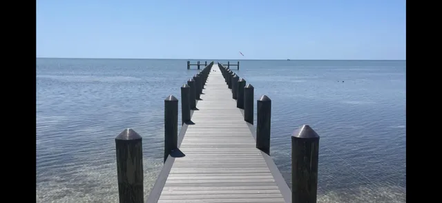 view of a black and white photo